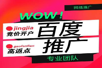 案例解读：竞价代运营如何提升转化率